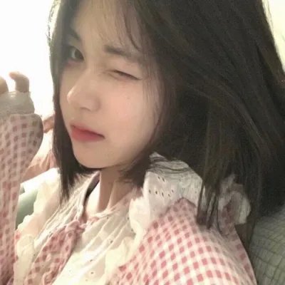 红色玫瑰：爱伦的日记